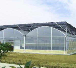 China Durable Multi Span Greenhouse Arched Roof Plastic Film Cover 0.12 / 0.15 / 0.20mm wholesale