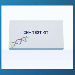 China Gene Sequencing DNA Collection Kit Parent Child Relationship Detection Kit wholesale
