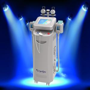 China 2014 Best cryolipolysis for beauty salon use / cryolipolysis rf slimming wholesale