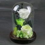 Natural Fresh Roses Flowers Everlasting Preserved Eternal Rose beautiful Rose