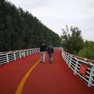 China Infilled Rubber Jogging Track 3.5mm EPDM Granules Colorful Outdoor Rubber Walkway wholesale