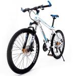 29 Inch Mountain Bike bycycle OEM Velo Aluminium Alloy Bicicleta Customizable