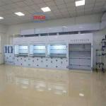 Eco-Friendly Chemical Fume Hood PP Fume Hoods with Low Noise for 220V Voltage