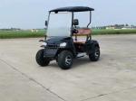 Off-road 2 Seater Golf Buggy Rechargeable Good Quality Golf Sightseeing Car