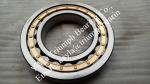 NSK Cylindrical Roller Bearing NU244EM