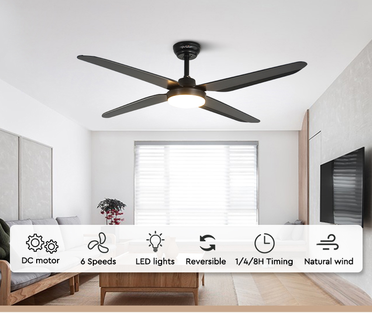 ceiling fan