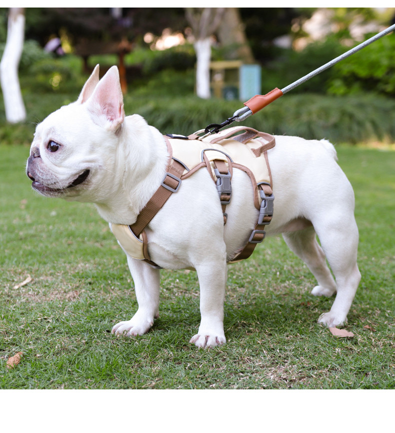 Dog harness for small and medium sized dogs, anti-breakaway dog ​​leash, reflective anti-escape leash