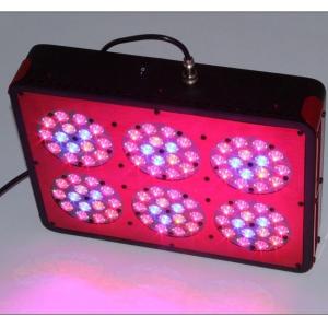 China led grow lights review,led grow lights reviews wholesale