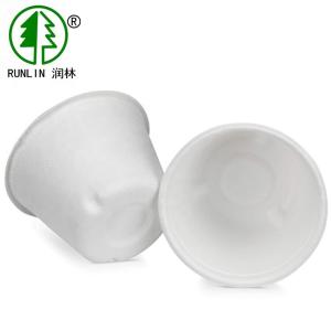 China 8OZ Beverage Eco Friendly Paper Cups Biodegradable Sugarcane Bagasse Cup wholesale