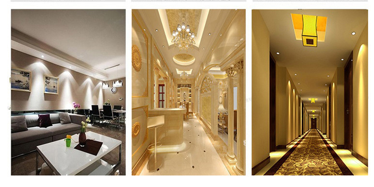220V Recessed Aluminum body double head 14W LED downlight