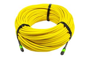 China 24 Core Fiber Optic To 24F MPO MTP Patch Cord Fiber Trunk Cable wholesale