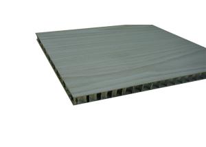 China FS-5890 Antibacterial Board Weather Resistant Antibacterial Wall Paneling wholesale
