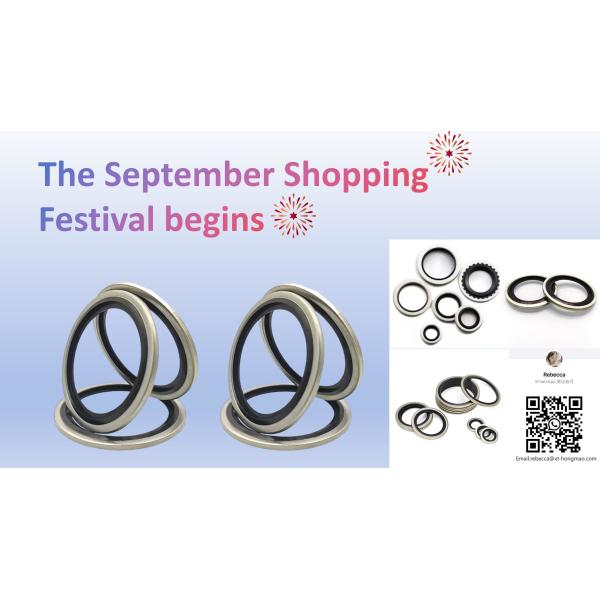 Metal With Nbr Rubber Gasket/bonded Sealing Washer/factory Produce Piston Metal Compound Rubber Ring