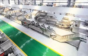 China Plantain Carrot Apple Banana Chips Making Machinery Chips Production Line wholesale
