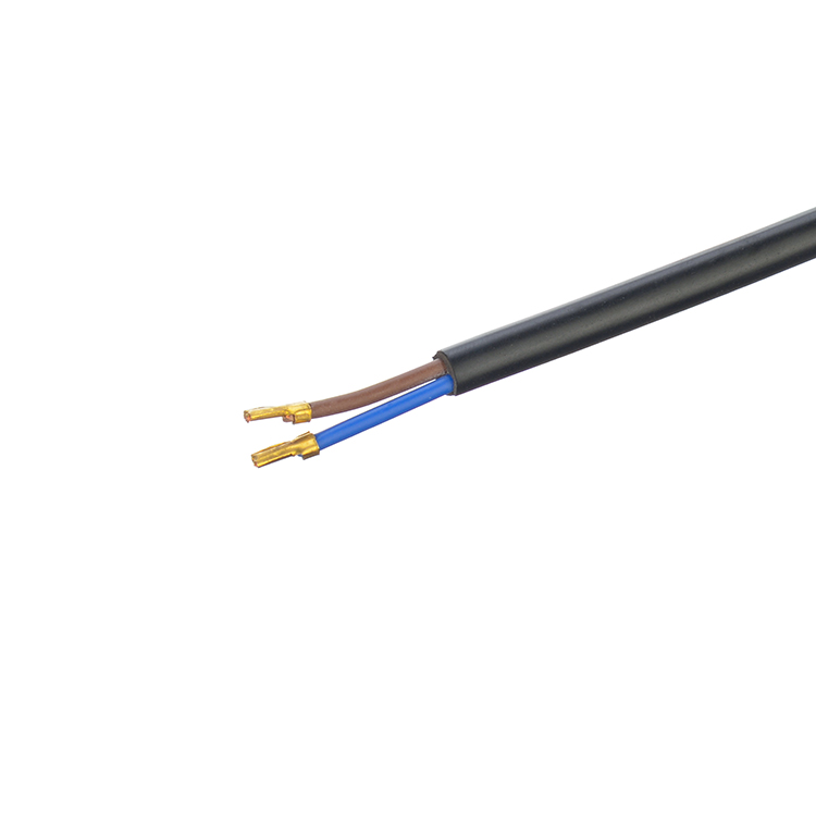 Oxygen Free Bared Stranded Copper Conductor Material 2.5A Brazil 2 Round Pin Plug Power Cords for Household Appliances
