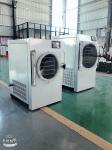 4Kg Small Freeze Dryer Mini Vacuum For Fruit Vegetable
