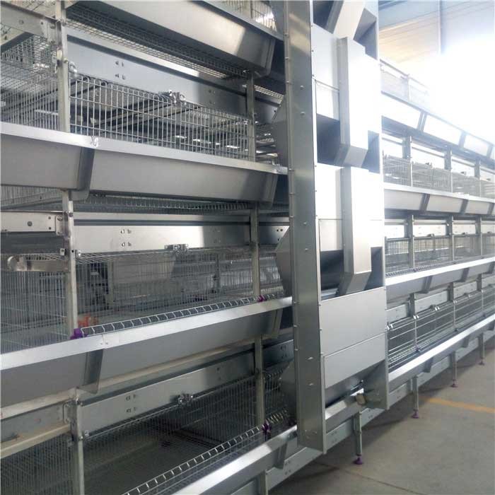 4 tier Chicken Egg Poultry Farm Cage Hot Dip Galvanized Walking Feeder Machine