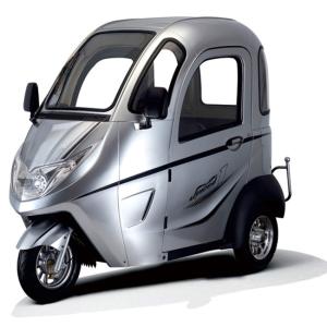 China Disc Brake 60V 800W Motor Assisted Tricycle wholesale