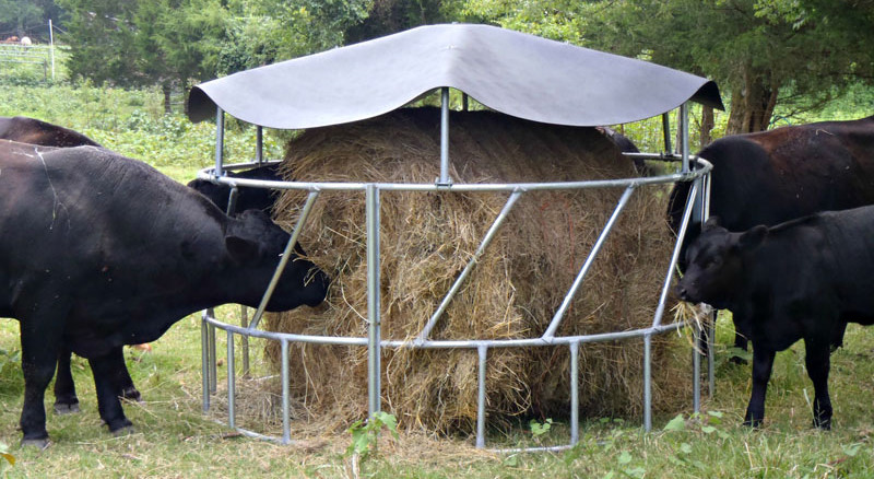 Headlock Galvanized Livestock Fencing