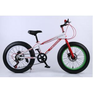 Steel Frame 21 Speed 26 Inch Electric Fat Bike