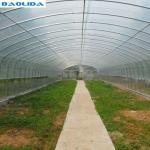 Agricultural Singlespan Tunnel Plastic Film Tropical Greenhouse