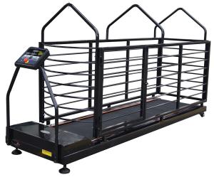 China 200kgs Capacity Dog Runner Treadmill Pet Medical Equipment wholesale