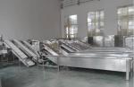 3000W Fruit Vegetable Washing Machine Fully Automatic Multi Functional