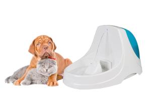 China CE RoHS Quiet Pet Water Fountain Environment Friendly Transparent PP wholesale