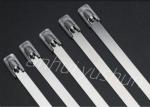SS 304 Reusable Metal Cable Ties 4.5*550mm OEM
