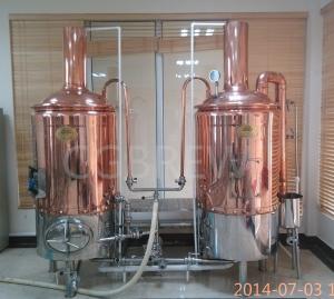 China 300L commercial beer equipment for brewpub/hotel/restaurant wholesale