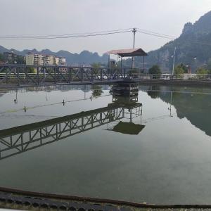 China Half Bridge Sludge Scraper Equipment Peripheral Drive Carbon steel wholesale