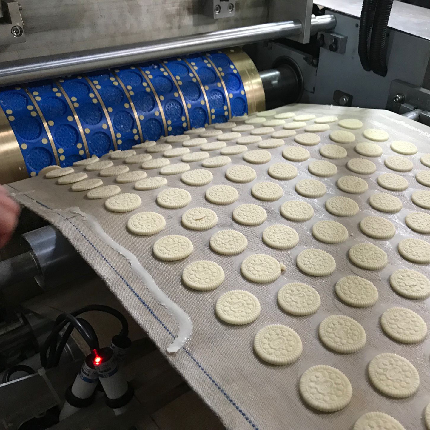 Industrial Skywin 400mm Biscuit Production Line PLC Controlled
