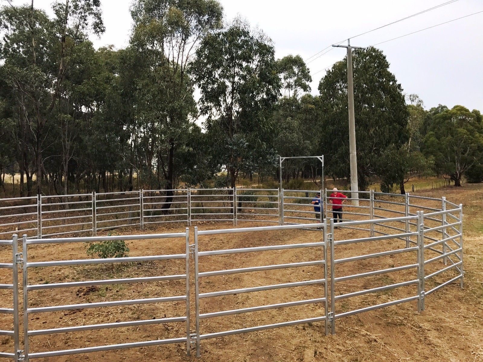 Used Cattle Yards For Sale From Budget To Extra Heavy Duty Cattle Panels