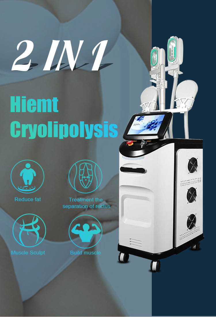 Advanced 10.4 Inch Touch Screen Cryo Reduction System Cryo Reduction Device With HI EMT Technology