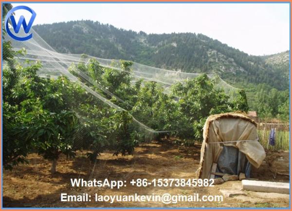 HDPE Protect Fruit Plant Garden Bird control Netting-Green