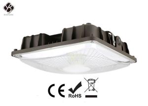 China 40W - 120W LED Canopy Light Nitelus Quality Driver IP67 For Gas Station wholesale