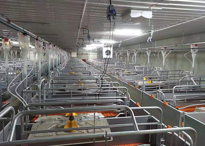 OEM ODM 304 Stainless Steel Farrowing Crates Swine Gestation Crates