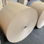 Heat Resistant Wood Pulp PE Coated Kraft Paper 150-350gsm Glossy Matte Finish