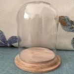 Transparent Plastic Dome Bell Jar Injection Molding For Gift / Toys Dome Cover