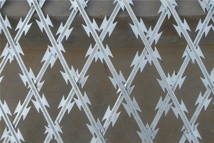 50X100mm 40X80mm Double Strand Razor Barbed Wire Fence Welded Razor Barbed Wire Mesh Fence