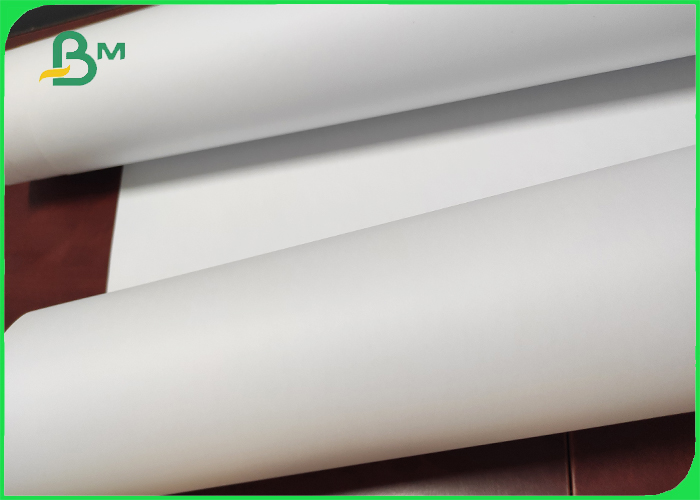 thermal paper roll