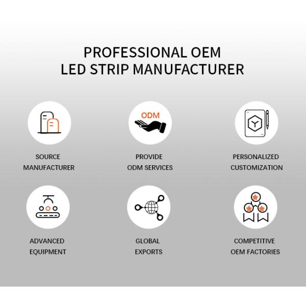 10 * 10 Neon LED Silicone Light Strip 180 Degree Flexible Waterproof Neon Strip Lights