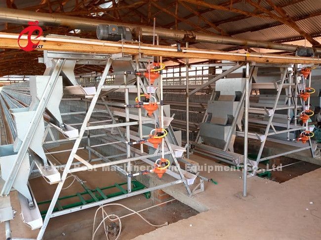 Raising Chicken Poultry Layer Cage With 3/4/5/6/7/8 Tiers Emily Wang