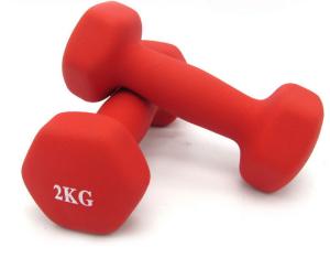 China Color Gym fitness women Wholesale Custom Vinyl Dumbbell for sales wholesale