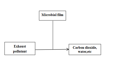 Environmentally-Friendly Biofilter Core for Industrial Filter System in Water Treatment