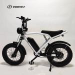 Electric City Bike 500w 48v Fat Tire Ebike Mtb E-Bike Full Suspension Off Road