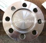 Stainless steel blind flange with tongue face(TF)