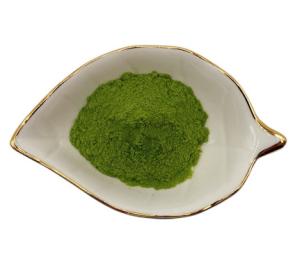 China Water Soluble Ascophyllum Nodosum Green Seaweed Extract Powder 45% Oligosaccharide wholesale