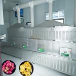 MT Multifunctional Wood Microwave Drying Machine 915MHZ