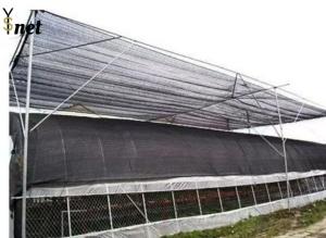 China 100% HDPE Agro Shade Net 2*100m Agriculture Shade Cloth Black wholesale
